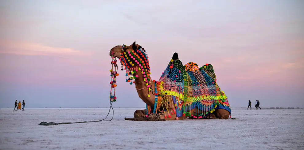 Runn Of Kutch Women Trip Only