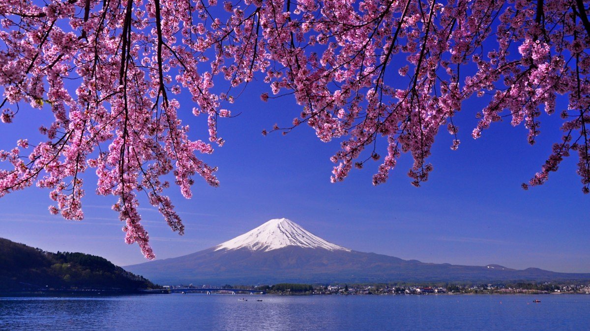 japan women only trip