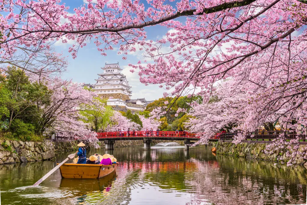 SAKURA JAPAN Women Trip Only